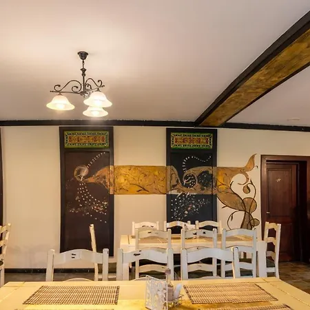 Pensiunea Sanziana Guest house *