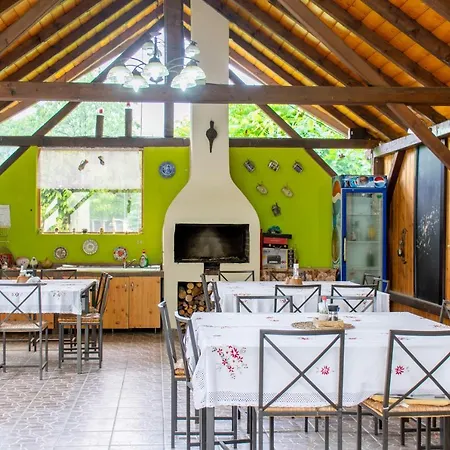 Pensiunea Sanziana Guest house *