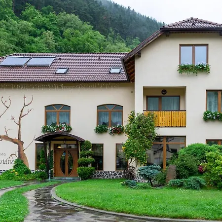 Pensiunea Sanziana Guest house Gura Raului