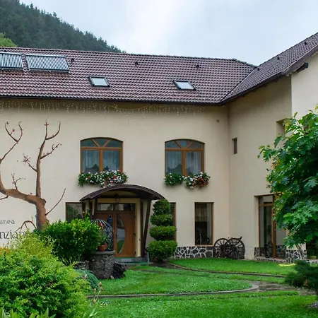 Pensiunea Sanziana Guest house Gura Raului