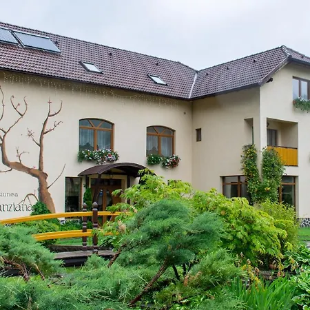 Guest house Pensiunea Sanziana Gura Raului
