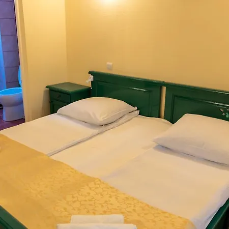 Guest house Pensiunea Sanziana