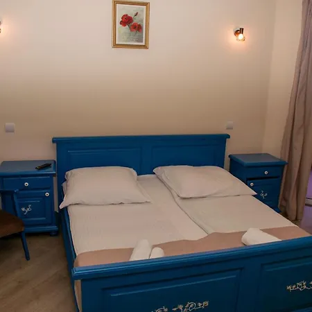Guest house Pensiunea Sanziana