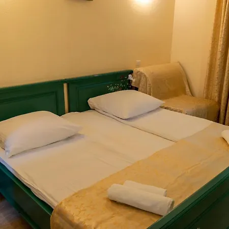 Guest house Pensiunea Sanziana Gura Raului