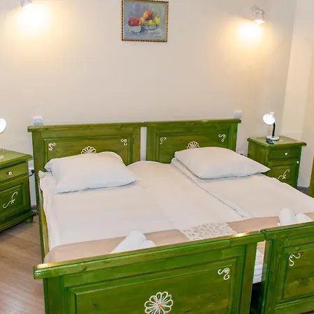Pensiunea Sanziana Guest house Gura Raului