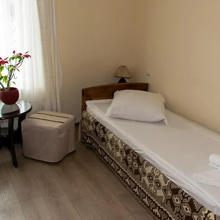 Pensiunea Sanziana Guest house *