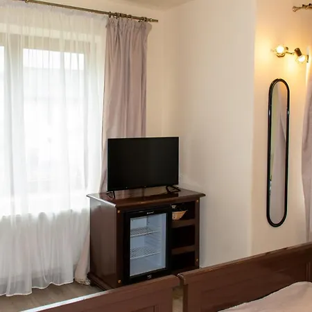 Pensiunea Sanziana Guest house Gura Raului
