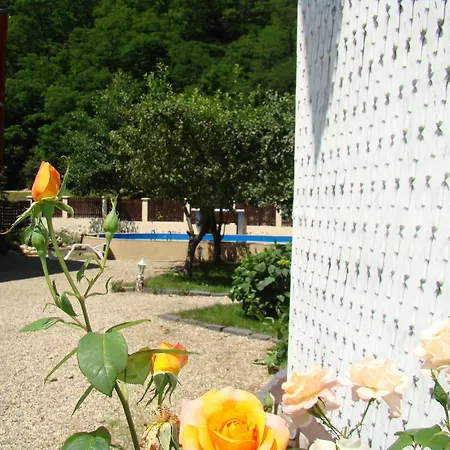 Guest house Pensiunea Sanziana