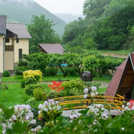 Guest house Pensiunea Sanziana