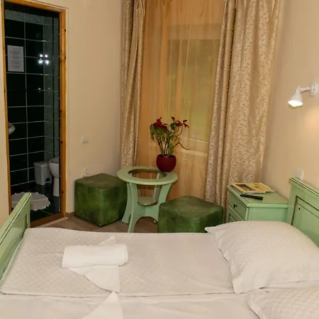 Guest house Pensiunea Sanziana Gura Raului