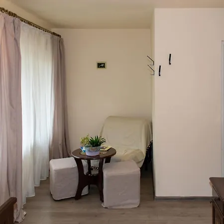 Pensiunea Sanziana Guest house Gura Raului